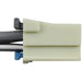Ignition Switch Connector WVE 1P2514