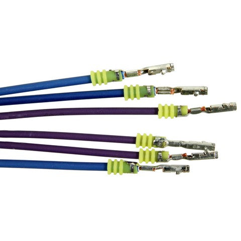 Engine Crankshaft Position Sensor Connector WVE 1P2526