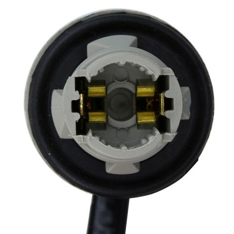 Tail Light Connector WVE 1P2535