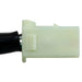 Tail Light Connector WVE 1P2535