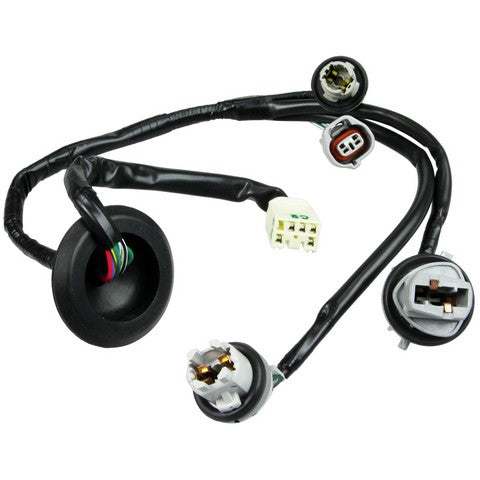 Tail Light Connector WVE 1P2535