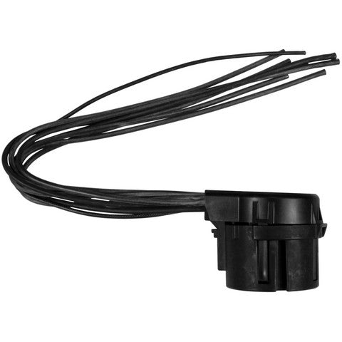Ignition Switch Connector WVE 1P2538
