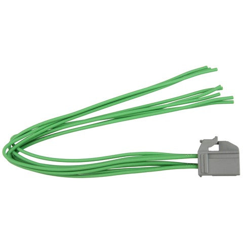 Steering Column Control Module Connector WVE 1P2594