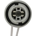 Side Marker Light Socket WVE 1P2616