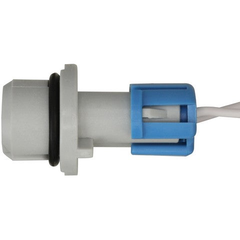 Side Marker Light Socket WVE 1P2616