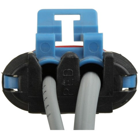 HVAC Blower Motor Resistor Connector WVE 1P2655