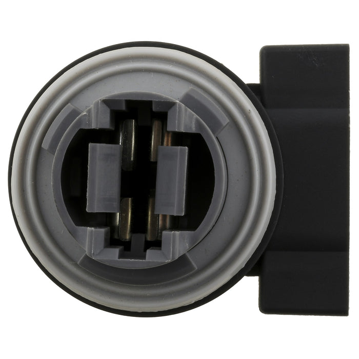 Turn Signal Light Socket WVE 1P3338