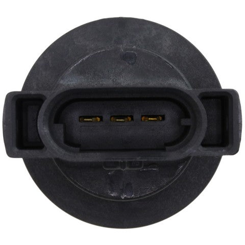 Turn Signal Light Socket WVE 1P3343
