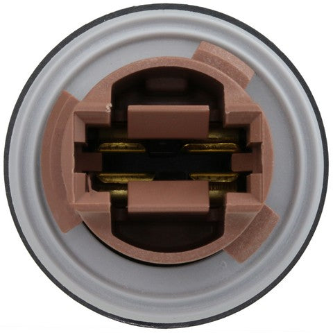 Turn Signal Light Socket WVE 1P3343