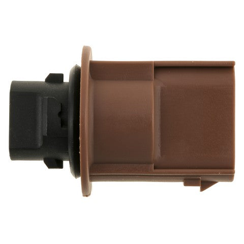 Tail Light Socket WVE 1P3366