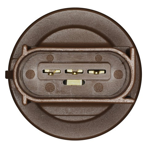 Tail Light Socket WVE 1P3366