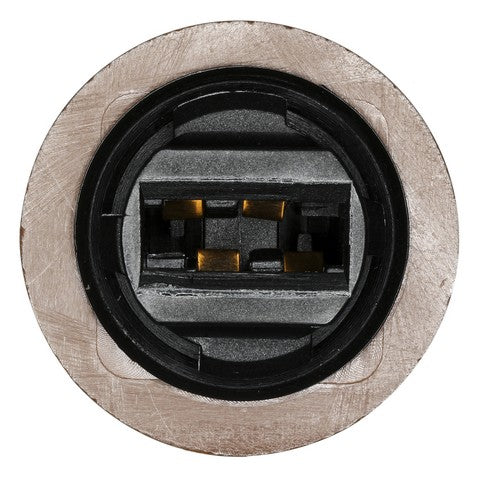 Tail Light Socket WVE 1P3366