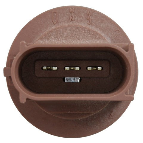 Tail Light Socket WVE 1P3366