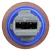 Tail Light Socket WVE 1P3366