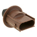 Tail Light Socket WVE 1P3366