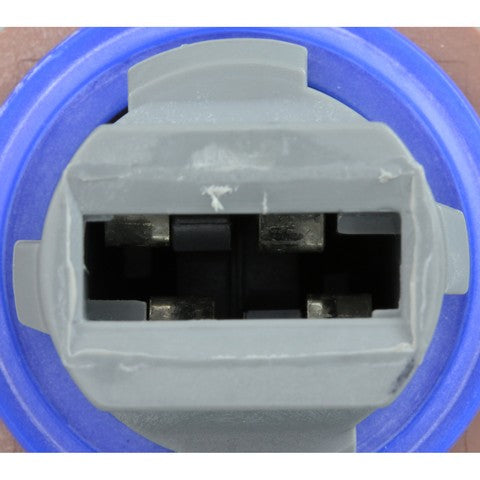Tail Light Socket WVE 1P3366