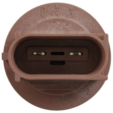 Turn Signal Light Socket WVE 1P3367