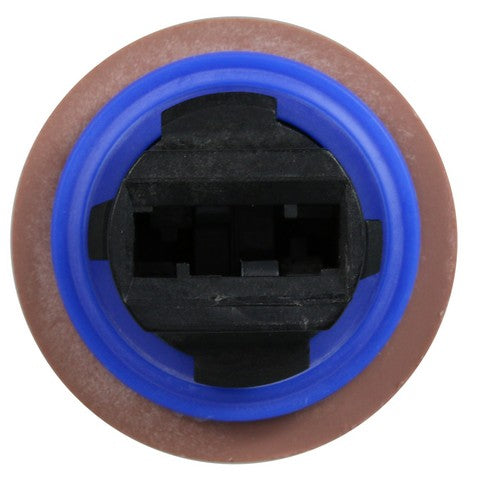 Turn Signal Light Socket WVE 1P3367