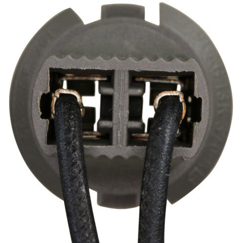 Cargo Area Light Connector WVE 1P3431
