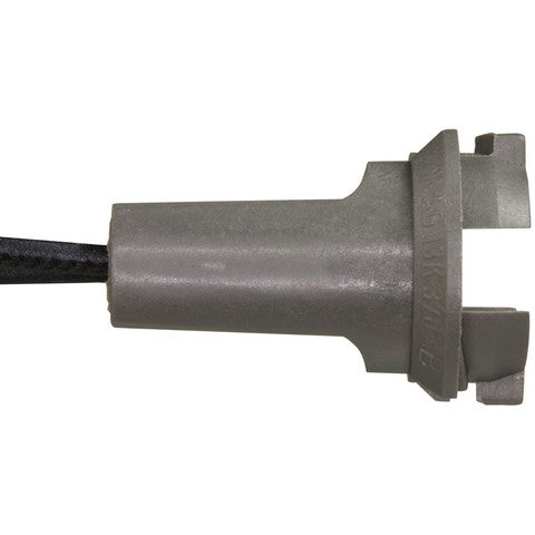 Cargo Area Light Connector WVE 1P3431