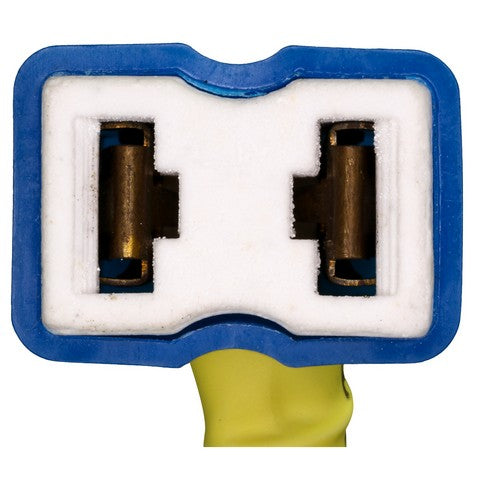 Headlight Wiring Harness WVE 1P3532