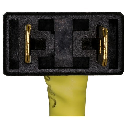 Headlight Wiring Harness WVE 1P3532