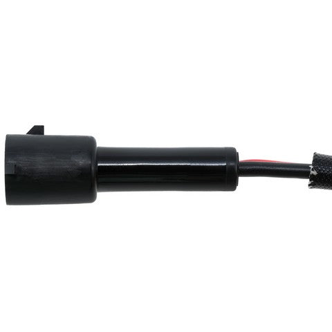 Fog / Driving Light Wiring Harness WVE 1P3537