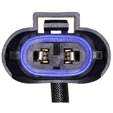 Headlight Wiring Harness WVE 1P3545