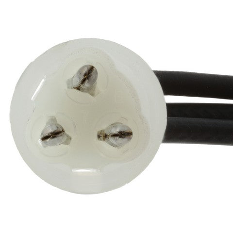 Door Ajar Switch Connector WVE 1P3614