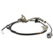 ABS Wheel Speed Sensor Wiring Harness WVE 1P3824