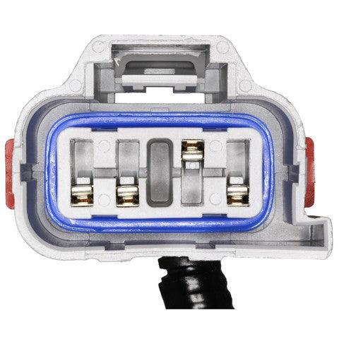 Tail Light Wiring Harness WVE 1P3828