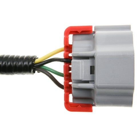 Tail Light Wiring Harness WVE 1P3828
