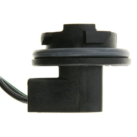 Tail Light Wiring Harness WVE 1P3828