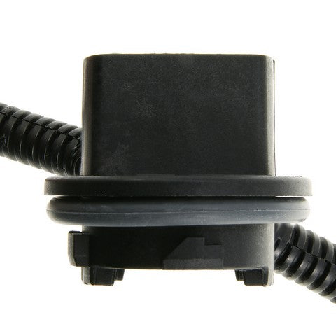 Tail Light Wiring Harness WVE 1P3828