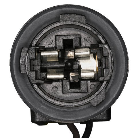 Tail Light Wiring Harness WVE 1P3828