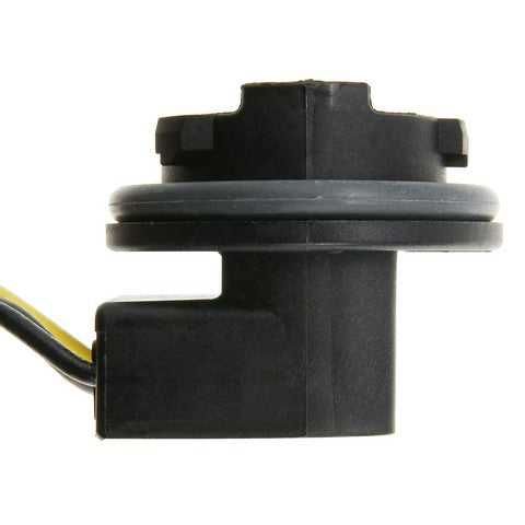 Tail Light Wiring Harness WVE 1P3828