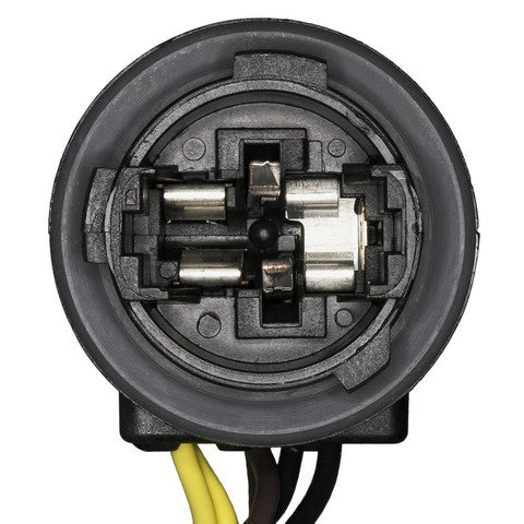 Tail Light Wiring Harness WVE 1P3828