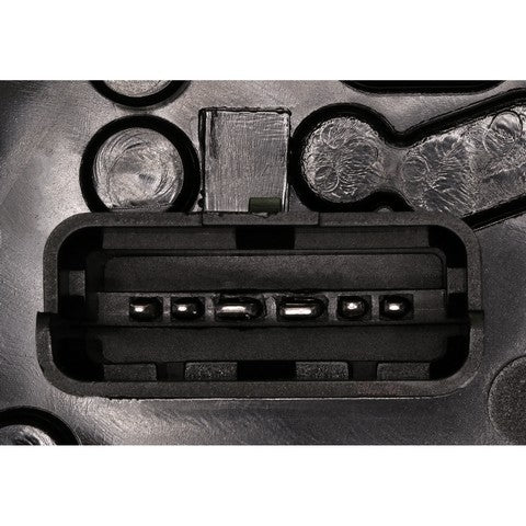 Tail Light Socket WVE 1P3835
