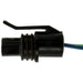 Automatic Transmission Speed Sensor Connector WVE 1P3843