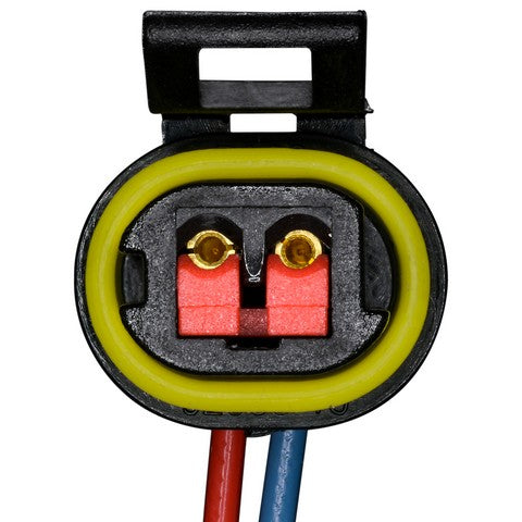 Automatic Transmission Speed Sensor Connector WVE 1P3843