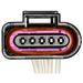 Power Steering Control Module Connector WVE 1P3846