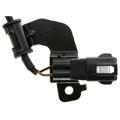 ABS Wheel Speed Sensor Wiring Harness WVE 1P3879