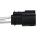 Tail Light Wiring Harness Connector WVE 1P3945
