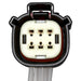 Tail Light Wiring Harness Connector WVE 1P3945