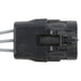 Turn Signal Light Connector WVE 1P3952