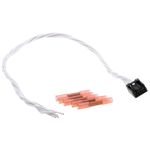 Radio Connector WVE 1P3991