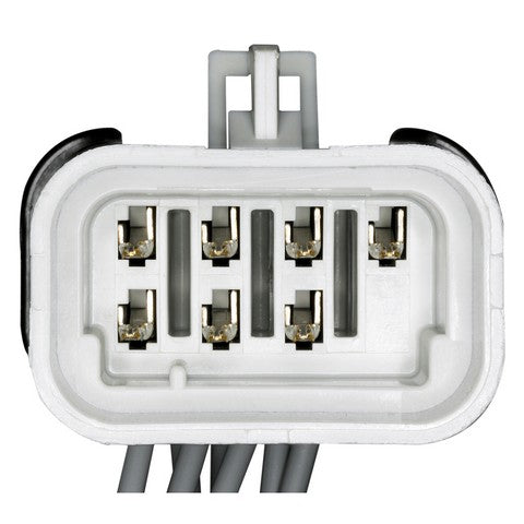 Parking Light Connector WVE 1P3999