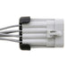 Parking Light Connector WVE 1P3999