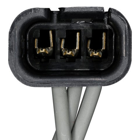 Dome Light Connector WVE 1P4003