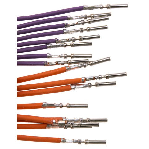 Engine Control Module (ECM) Connector WVE 1P4032